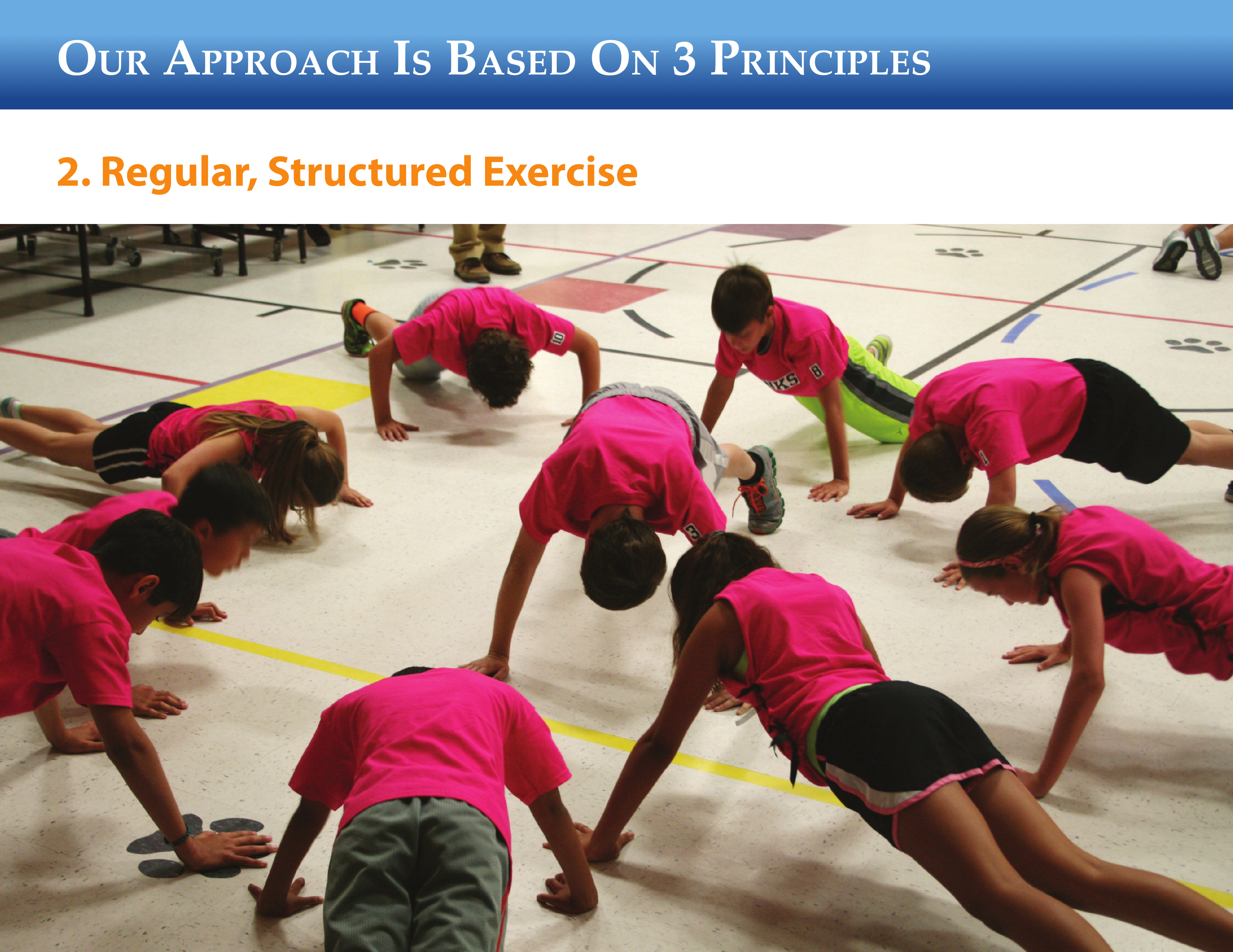 Slide 8